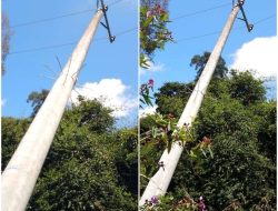 Tiang Listrik Berpotensi Tumbang di Siawan–Palabuin, Warga Minta Penanganan