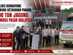 Polres Bengkayang Dukung Ketahanan Pangan, 100 Ton Jagung Tembus Pasar Malaysia