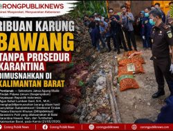 Ribuan Karung Bawang Tanpa Prosedur Karantina Dimusnahkan di Kalimantan Barat