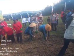 Wagub Kalbar Dorong Penguatan Ketahanan Pangan Lewat Tanam Jagung di Bengkayang