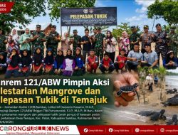 Danrem 121/ABW Pimpin Aksi Pelestarian Mangrove dan Pelepasan Tukik di Temajuk