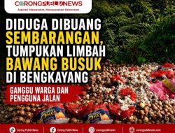 Diduga Dibuang Sembarangan, Tumpukan Limbah Bawang Busuk di Bengkayang Ganggu Warga dan Pengguna Jalan