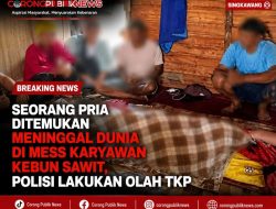 Seorang Pria Ditemukan Meninggal Dunia di Mess Karyawan Kebun Sawit, Polisi Lakukan Olah TKP