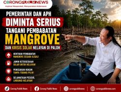 Pemerintah Dan APH Diminta Serius Tangani Pembabatan Mangrove Dan Krisis Solar Nelayan di Paloh