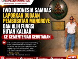IWO Indonesia Sambas Laporkan Dugaan Pembabatan Mangrove dan Alih Fungsi Hutan Kalbar ke Kementerian Kehutanan