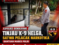 Kapolres Bengkayang Tinjau K-9 Helga, Satwa Pelacak Narkotika Bantuan Mabes Polri