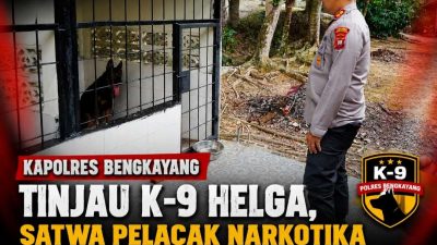 Kapolres Bengkayang Tinjau K-9 Helga, Satwa Pelacak Narkotika Bantuan Mabes Polri