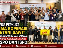 SPKS Perkuat Lima Koperasi Petani Sawit di Bengkayang dan Sambas, Dorong Naik Kelas Lewat RSPO dan ISPO