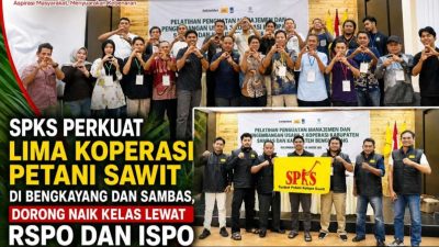 SPKS Perkuat Lima Koperasi Petani Sawit di Bengkayang dan Sambas, Dorong Naik Kelas Lewat RSPO dan ISPO