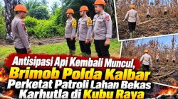 Antisipasi Api Kembali Muncul, Brimob Polda Kalbar Perketat Patroli Lahan Bekas Karhutla di Kubu Raya 